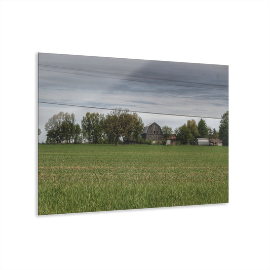 U R There Photography Old Grey Across the Field Rustic Farmhouse Acrylic Wall Print