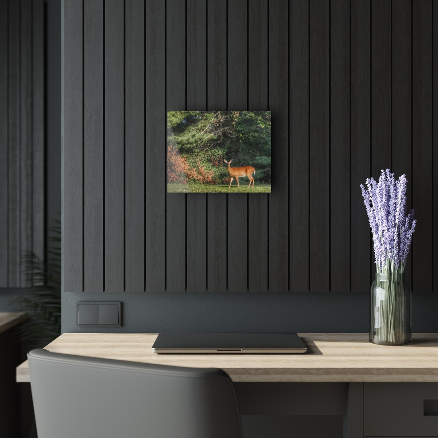 U R There Photography Mitchell Road Doe Rustic Farmhouse Acrylic Wall Print