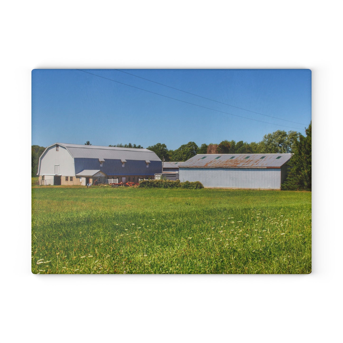 U R There Photography McPherson Greys Rustic Farmhouse Tempered-Glass Cutting Board 11" x 15" Rectangle