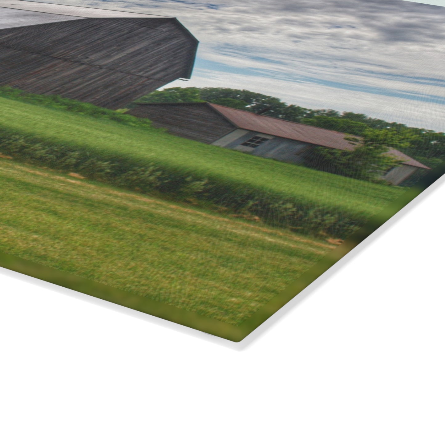 U R There Photography West Tuscola Road Grey Rustic Farmhouse Tempered-Glass Cutting Board