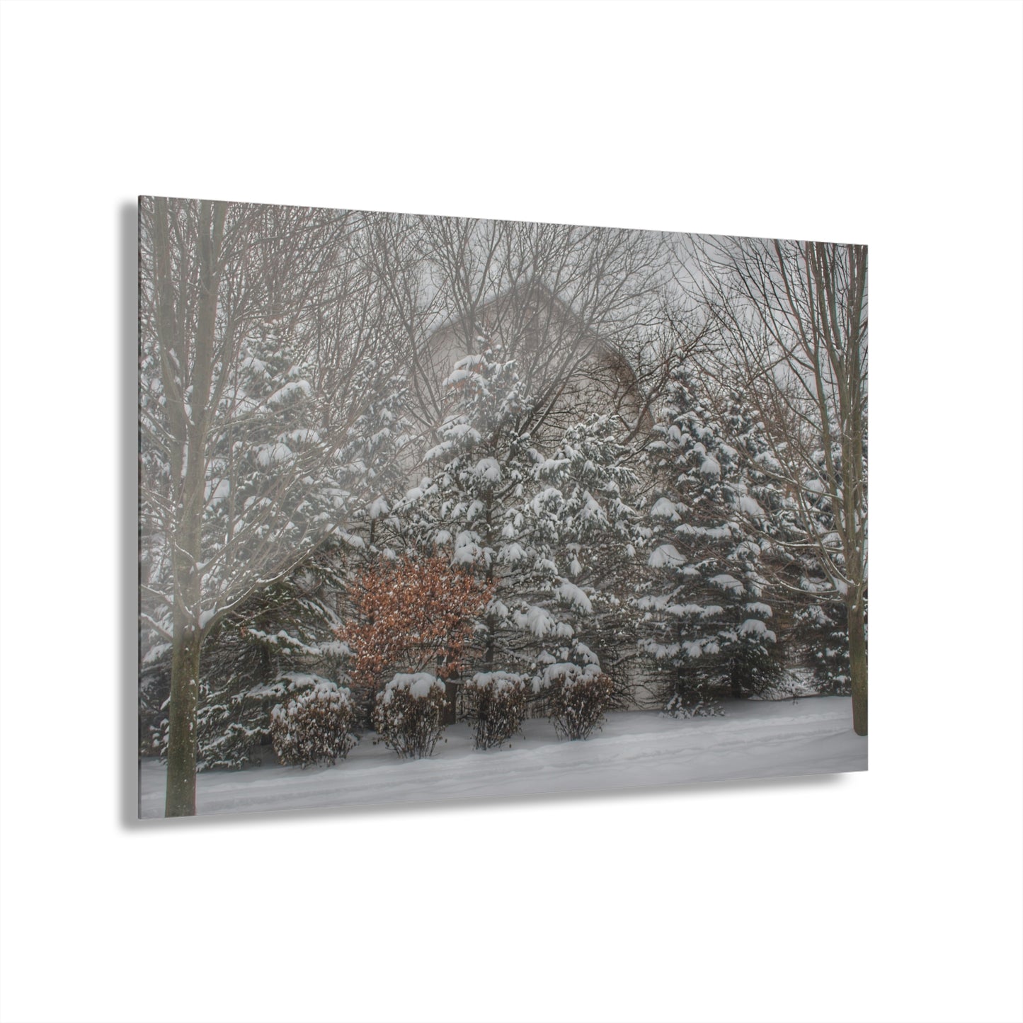U R There Photography Hidden in Oxford I Rustic Farmhouse Acrylic Wall Print