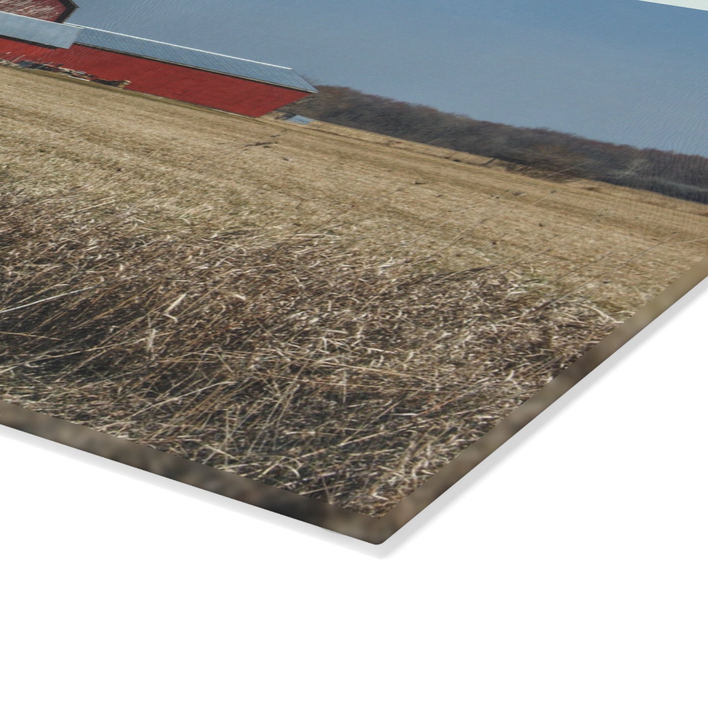 U R There Photography Romeo Plank Road Reds II Rustic Farmhouse Tempered-Glass Cutting Board