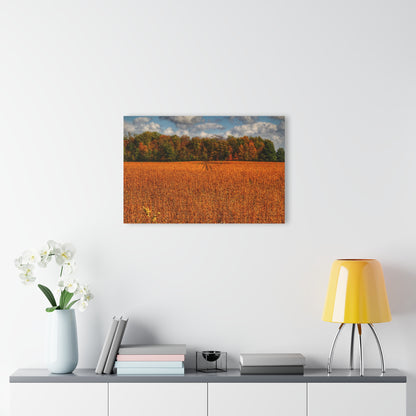 U R There Photography Fall on Murphy Lake I Rustic Farmhouse Acrylic Wall Print