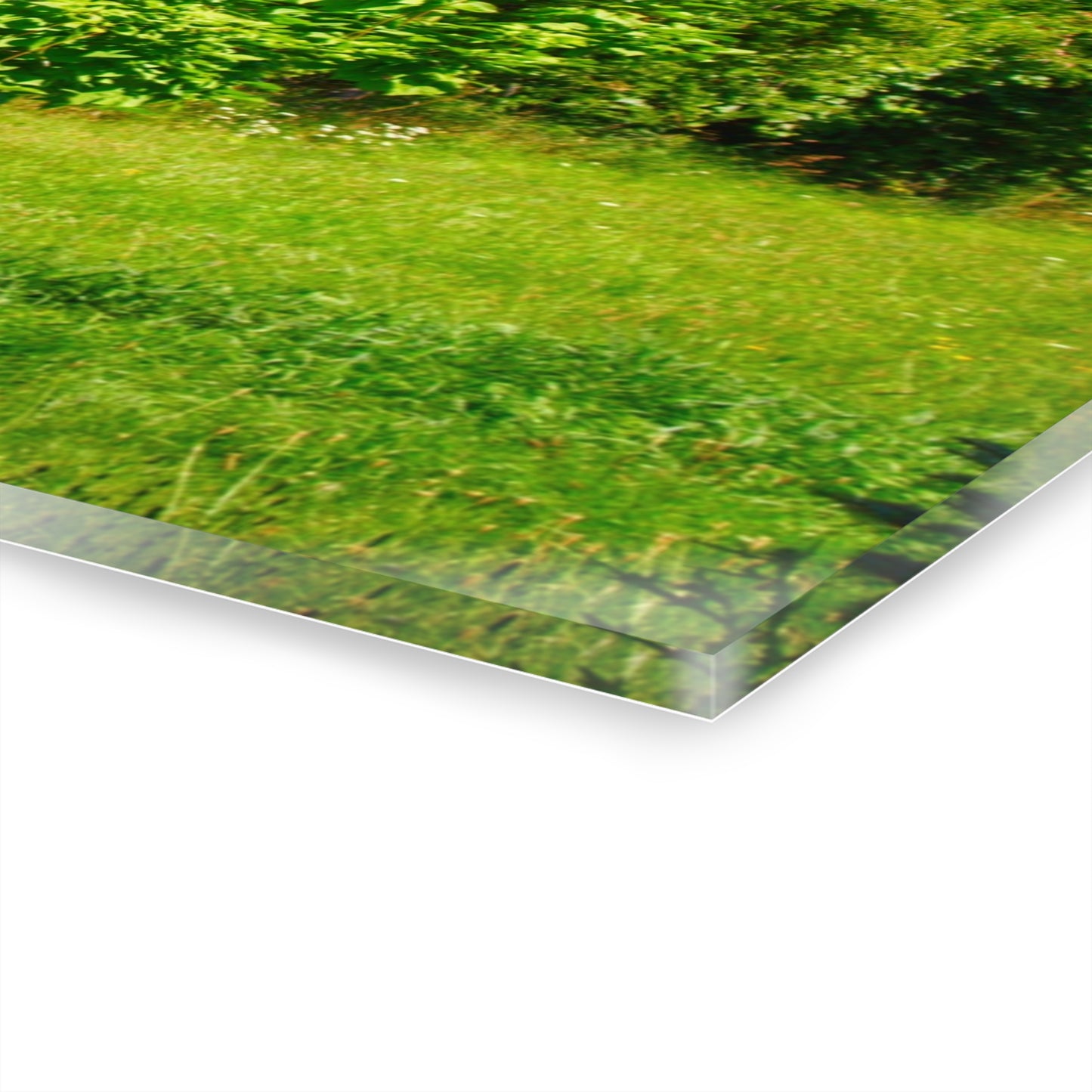 U R There Photography Hidden Grey of Hunters Creek Rustic Farmhouse Acrylic Wall Print