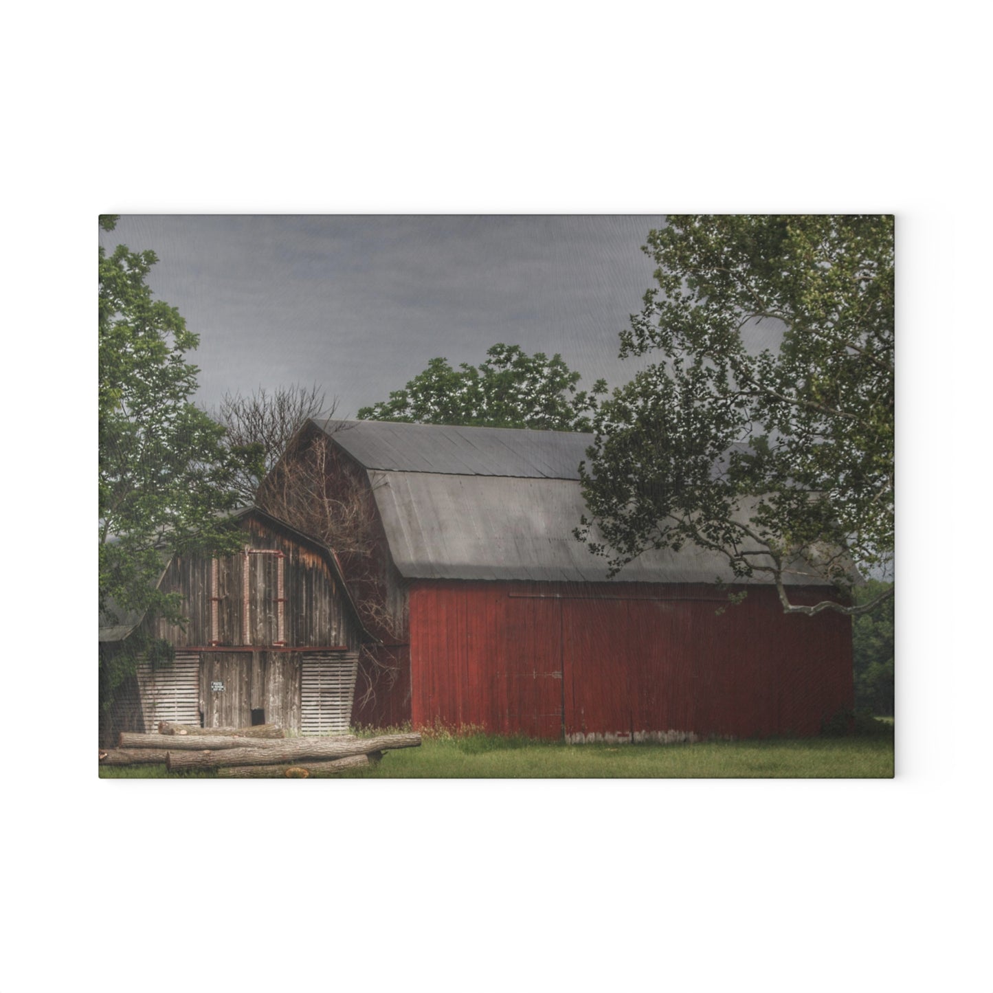 U R There Photography Barkley Road Buddies Rustic Farmhouse Tempered-Glass Cutting Board