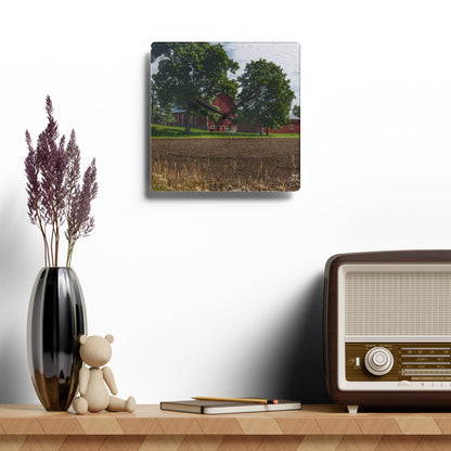 U R There Photography Catlin Road Red II Rustic Farmhouse Acrylic Analog Wall Clock