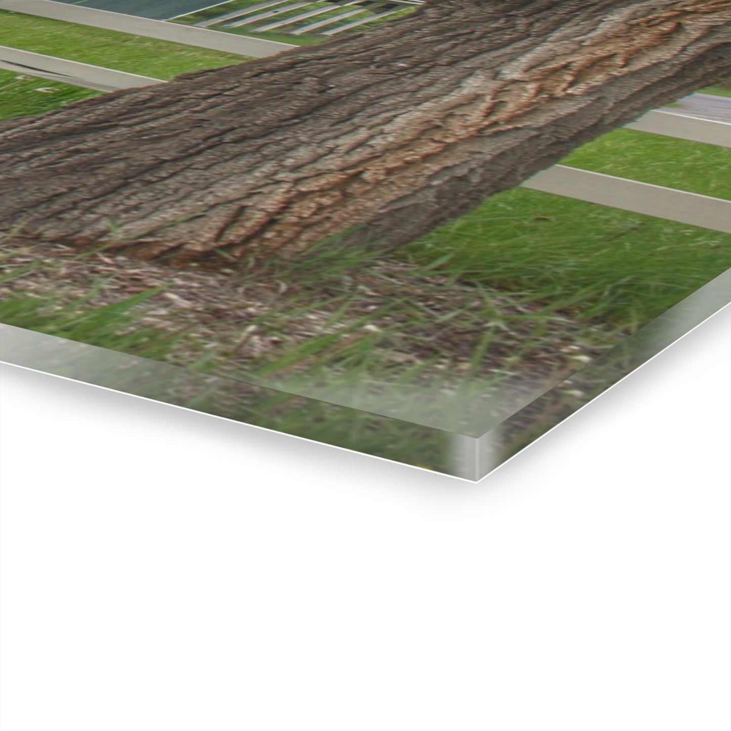 U R There Photography Lake George Road Fox Green Rustic Farmhouse Acrylic Wall Print