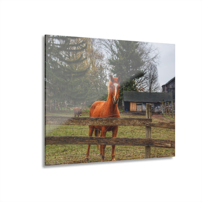 U R There Photography South Summers Road Old Grey and Caramel I Rustic Farmhouse Acrylic Wall Print