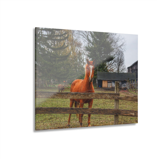 U R There Photography South Summers Road Old Grey and Caramel I Rustic Farmhouse Acrylic Wall Print