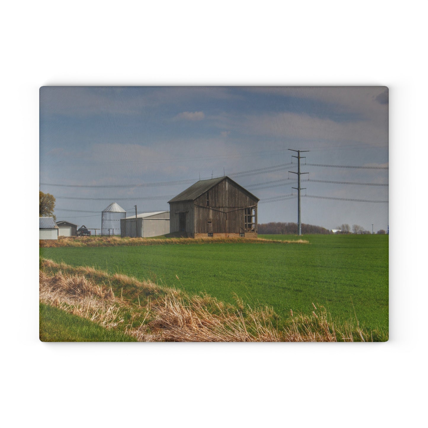 U R There Photography McAlpine Grey Rustic Farmhouse Tempered-Glass Cutting Board