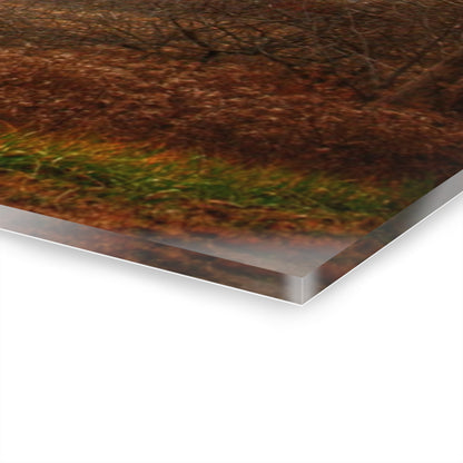 U R There Photography December Fieldstone Red Rustic Farmhouse Acrylic Wall Print