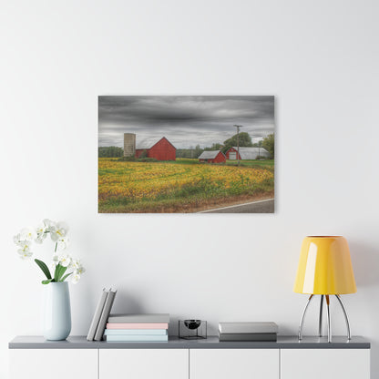 U R There Photography Kingston Road Trio III Rustic Farmhouse Acrylic Wall Print
