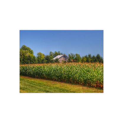 U R There Photography Beyond the Corn on Birch Run Road Rustic Farmhouse Decorative Ceramic Tile