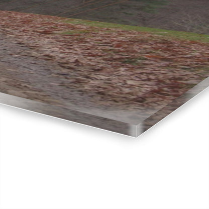 U R There Photography Grey Horse Barn Rustic Farmhouse Acrylic Wall Print