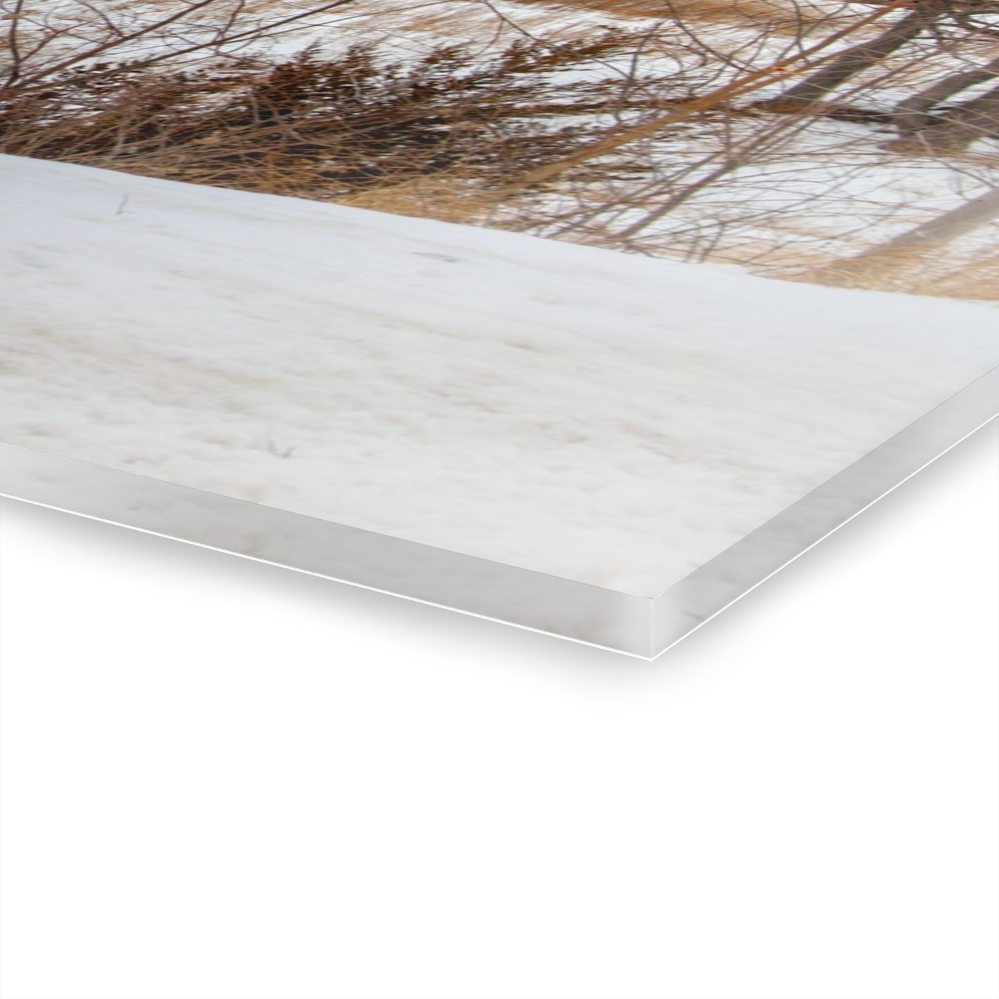 U R There Photography Hadley Red II Rustic Farmhouse Acrylic Wall Print