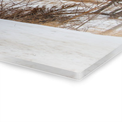 U R There Photography Hadley Red II Rustic Farmhouse Acrylic Wall Print