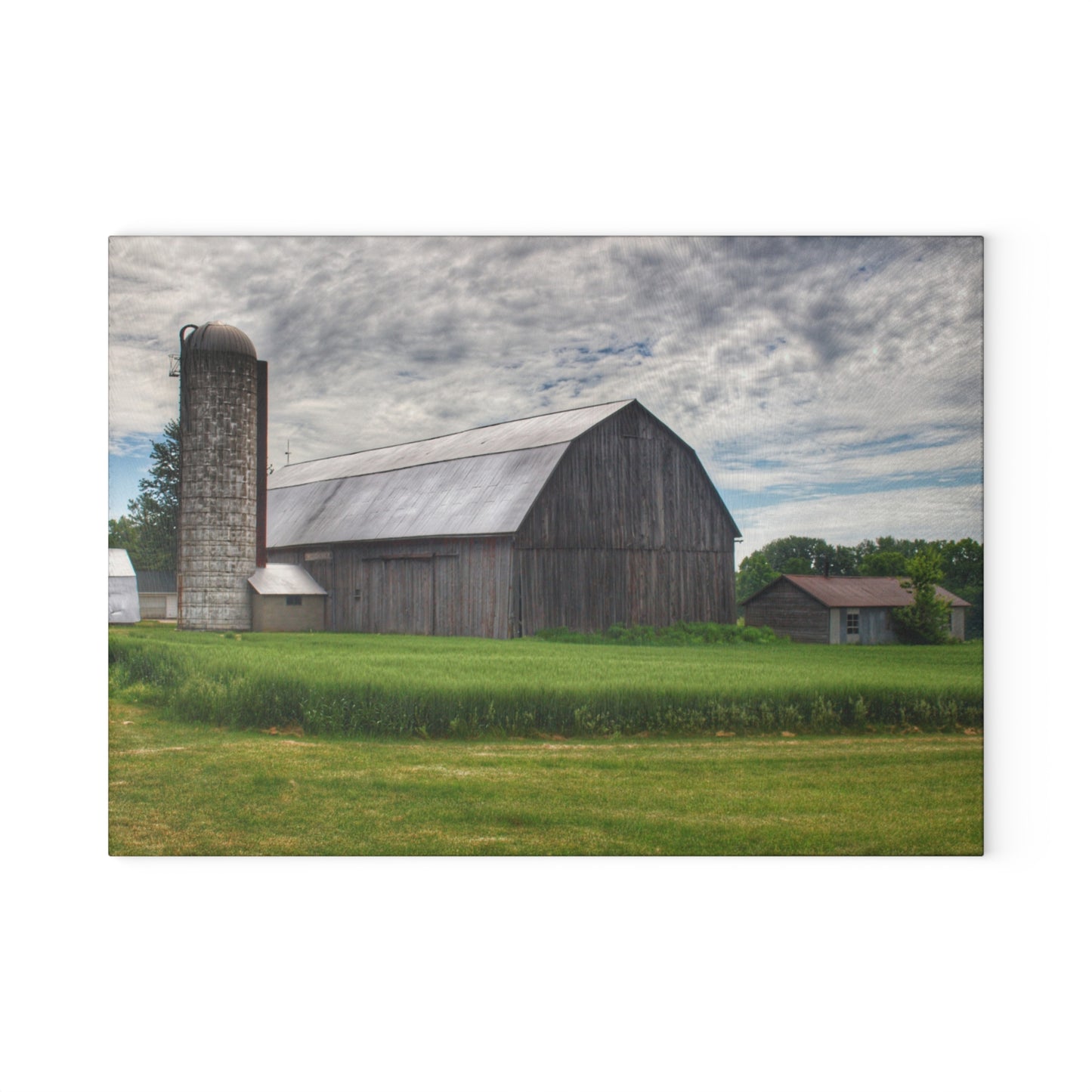 U R There Photography West Tuscola Road Grey Rustic Farmhouse Tempered-Glass Cutting Board