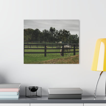 Barn Boutique Modern Farmhouse Acrylic Wall Print| Beyond the Fence White