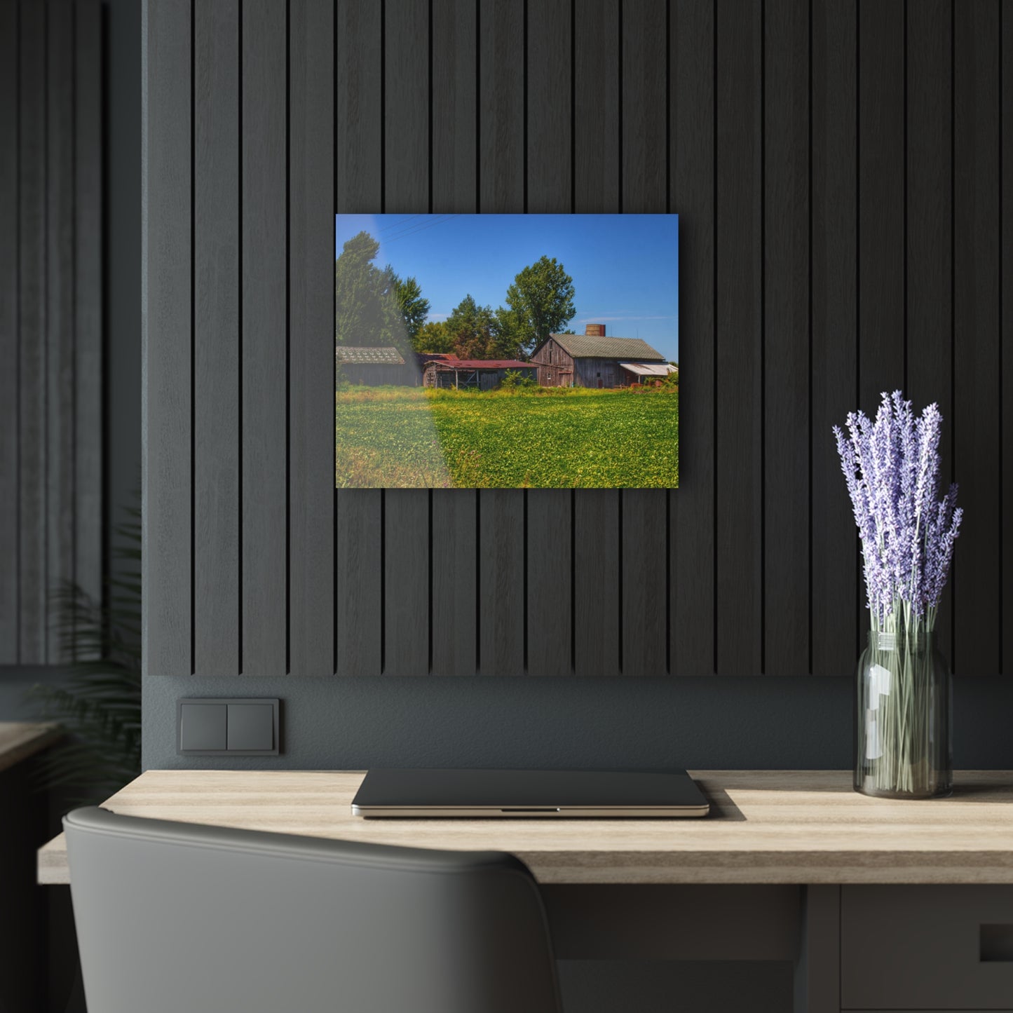 U R There Photography Birch Run Road Greys I Rustic Farmhouse Acrylic Wall Print