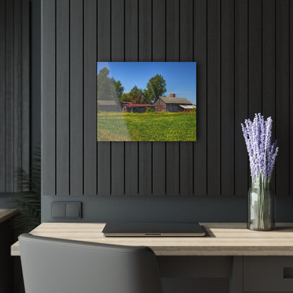 U R There Photography Birch Run Road Greys I Rustic Farmhouse Acrylic Wall Print