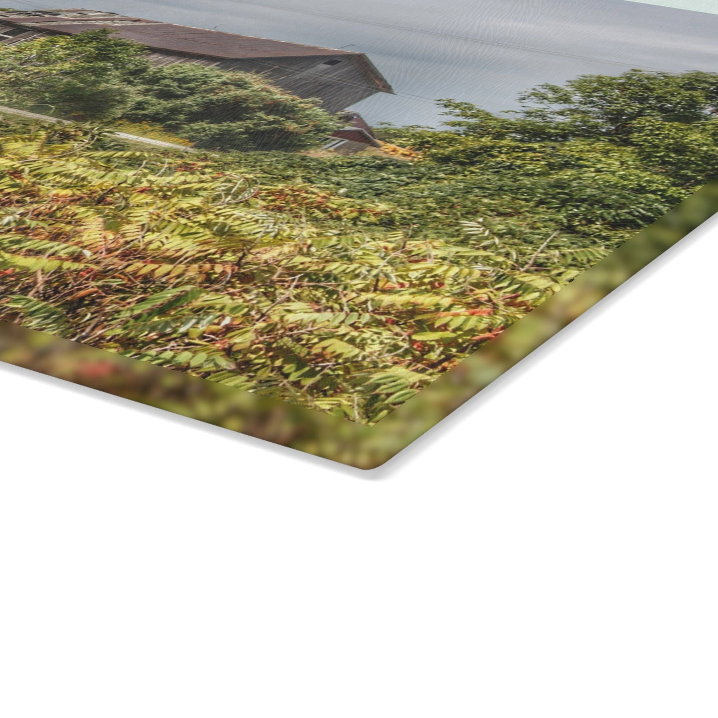 U R There Photography Van Dyke Grey Rustic Farmhouse Tempered-Glass Cutting Board