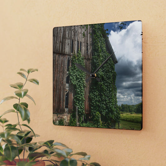 U R There Photography North Branch Ivy Grey II Rustic Farmhouse Acrylic Analog Wall Clock