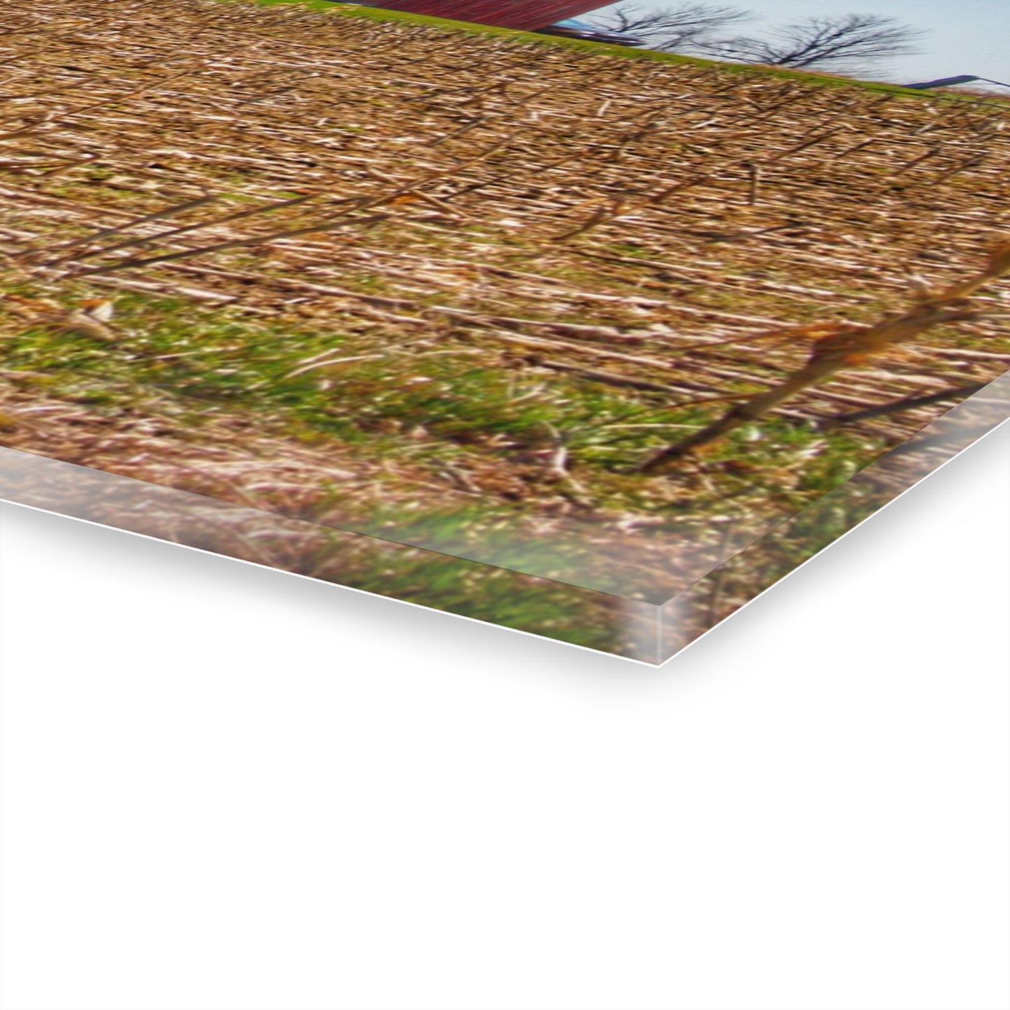 U R There Photography Lee Hill Road Block Red Rustic Farmhouse Acrylic Wall Print