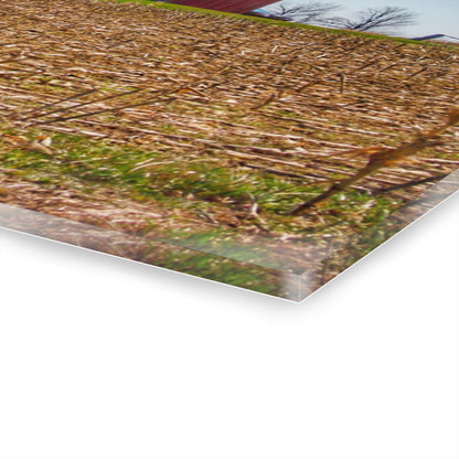 U R There Photography Lee Hill Road Block Red Rustic Farmhouse Acrylic Wall Print