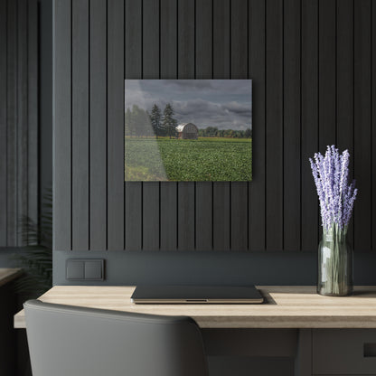 U R There Photography Belsay Grey Among the Pines Rustic Farmhouse Acrylic Wall Print