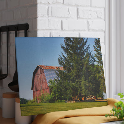 U R There Photography Mushroom Road Hidden Red Rustic Farmhouse Tempered-Glass Cutting Board