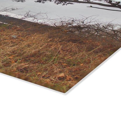 U R There Photography North Oxford Road Grey III Rustic Farmhouse Tempered-Glass Cutting Board
