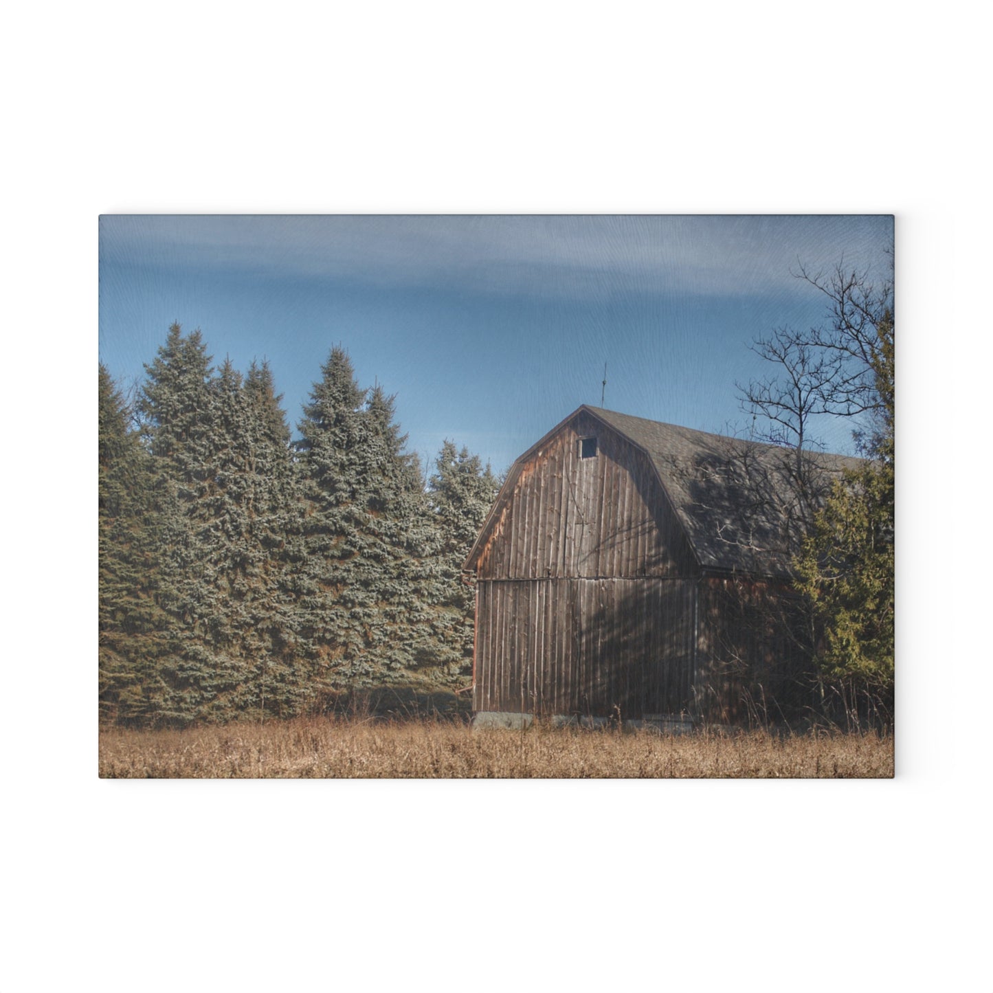 U R There Photography Washburn Old Grey Rustic Farmhouse Tempered-Glass Cutting Board