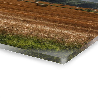 U R There Photography Haybale Heaven Rustic Farmhouse Acrylic Wall Print