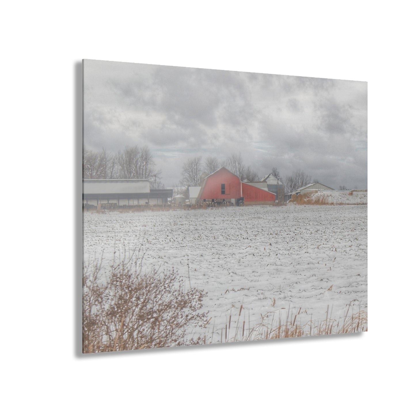 U R There Photography Maple Valley Road Red II Rustic Farmhouse Acrylic Wall Print