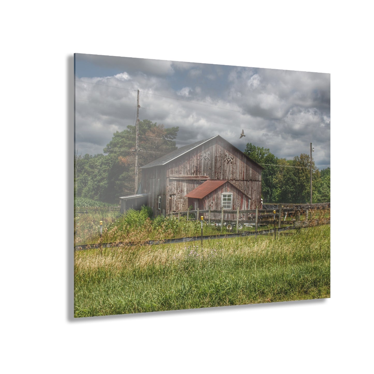 U R There Photography Millington Road Grey Horse Barn Rustic Farmhouse Acrylic Wall Print