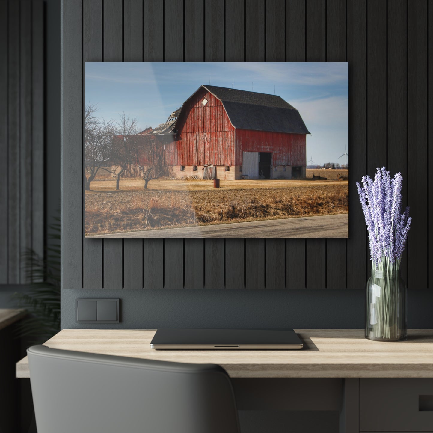 U R There Photography Elmwood Forgotten Apple Red Rustic Farmhouse Acrylic Wall Print