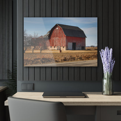 U R There Photography Elmwood Forgotten Apple Red Rustic Farmhouse Acrylic Wall Print