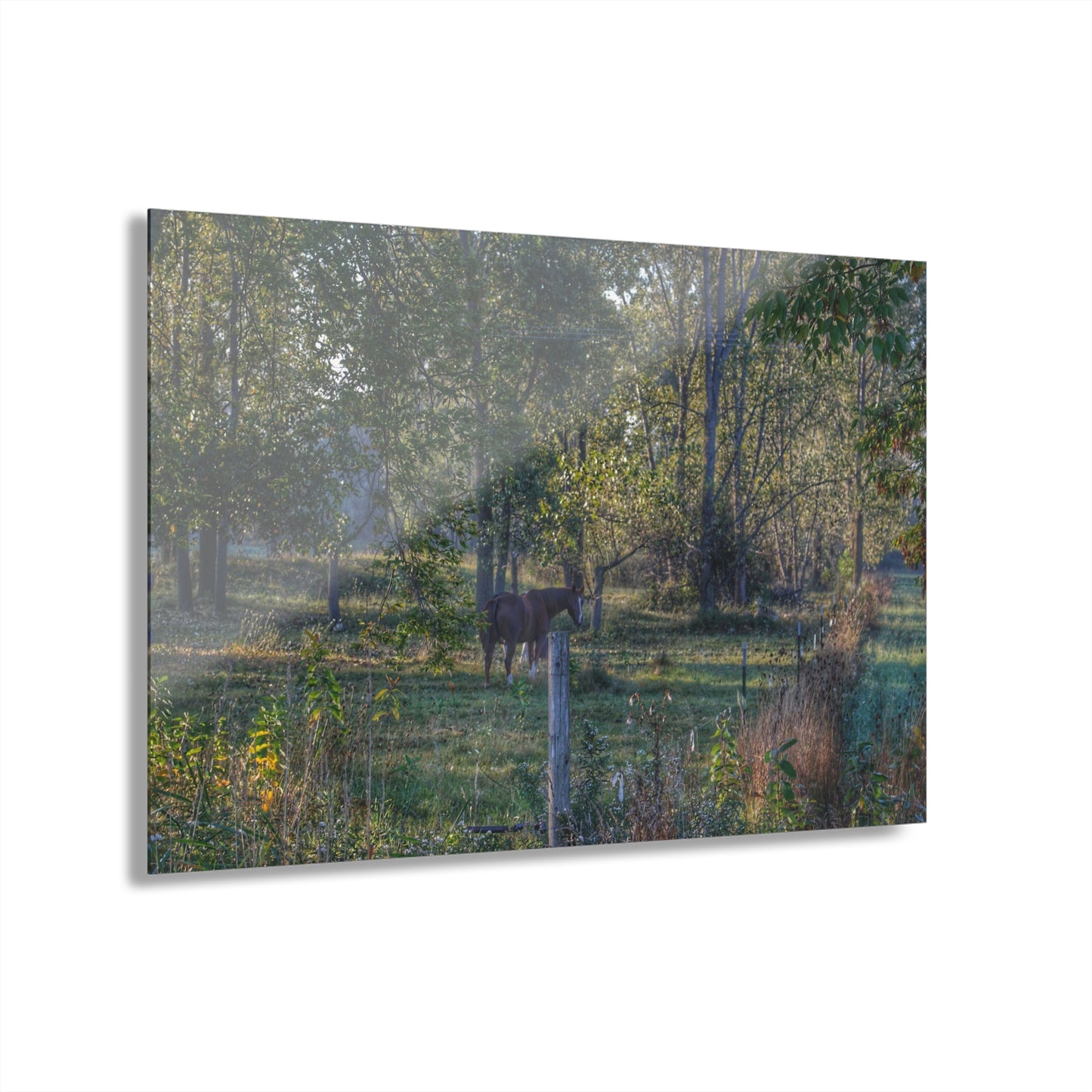 U R There Photography Chestnut Horse Among the Trees Rustic Farmhouse Acrylic Wall Print