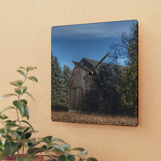 U R There Photography Washburn Old Grey Rustic Farmhouse Acrylic Analog Wall Clock