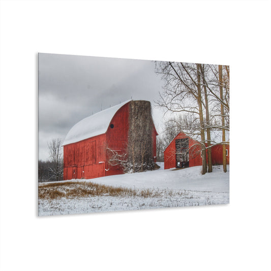 U R There Photography Catlin Reds in Winter I Rustic Farmhouse Acrylic Wall Print