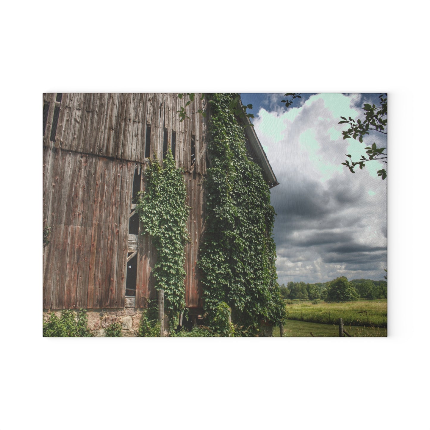 U R There Photography North Branch Ivy Grey II Rustic Farmhouse Tempered-Glass Cutting Board