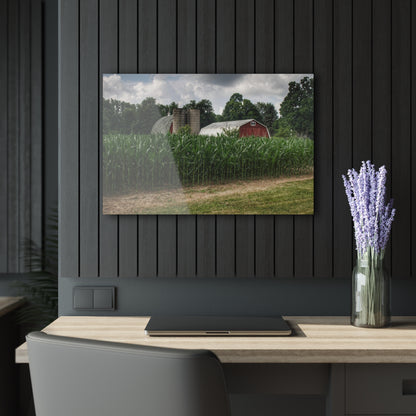 U R There Photography Scotch Settlement Reds Rustic Farmhouse Acrylic Wall Print