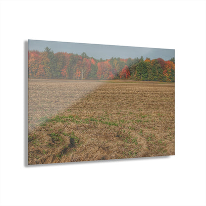 U R There Photography Fall on Murphy Lake III Rustic Farmhouse Acrylic Wall Print