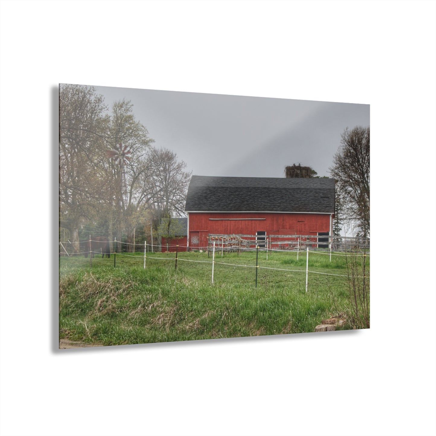U R There Photography West Lake Road Farm and Filly II Rustic Farmhouse Acrylic Wall Print