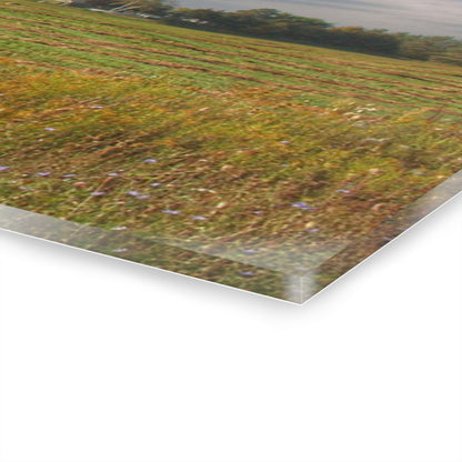 U R There Photography Farm Across the Field Rustic Farmhouse Acrylic Wall Print