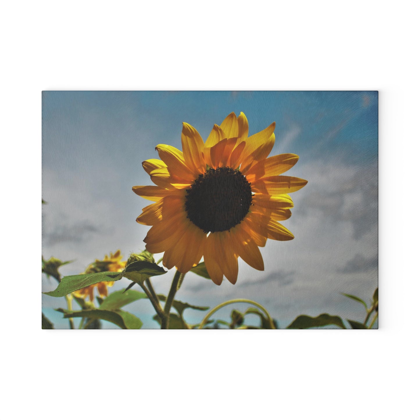 U R There Photography Awakening Sunflower Rustic Farmhouse Tempered-Glass Cutting Board