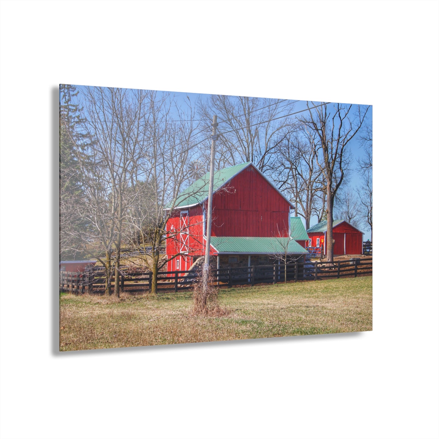U R There Photography Imlay City Road Cow Barn I Rustic Farmhouse Acrylic Wall Print
