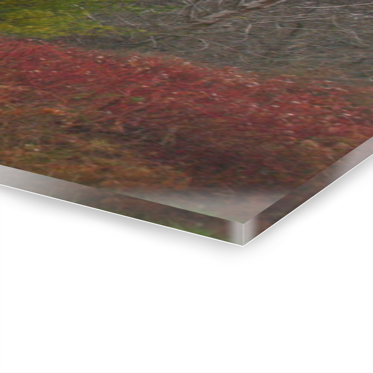 U R There Photography Freiberger Road Hidden Grey Rustic Farmhouse Acrylic Wall Print