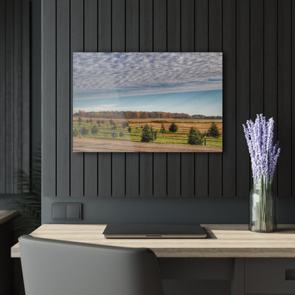 U R There Photography Fences, Firs and Fall Rustic Farmhouse Acrylic Wall Print