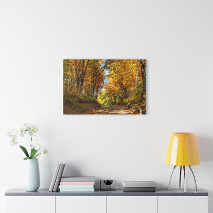 U R There Photography Harson Road in Fall I Rustic Farmhouse Acrylic Wall Print